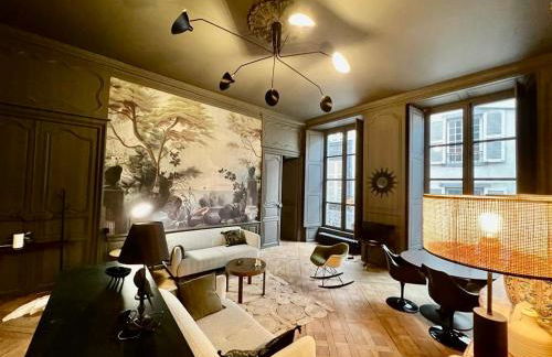 Luxueux 2 pièces 65m2 Hôtel Particulier XVII ième siècle-Centre Historique Clermont-Ferrand - Foto 6