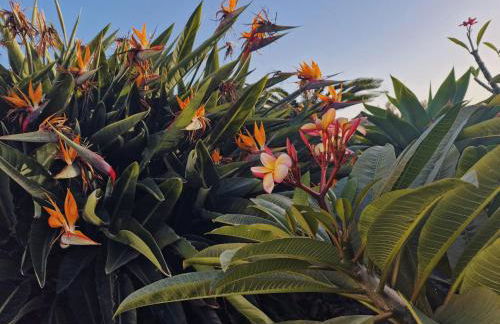 Casa Anna by Huskalia - Foto 28