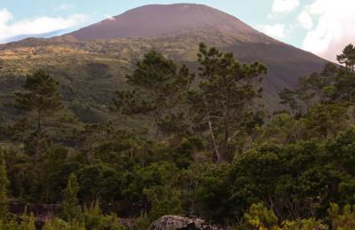 Casas do Amarelo - Photo 62