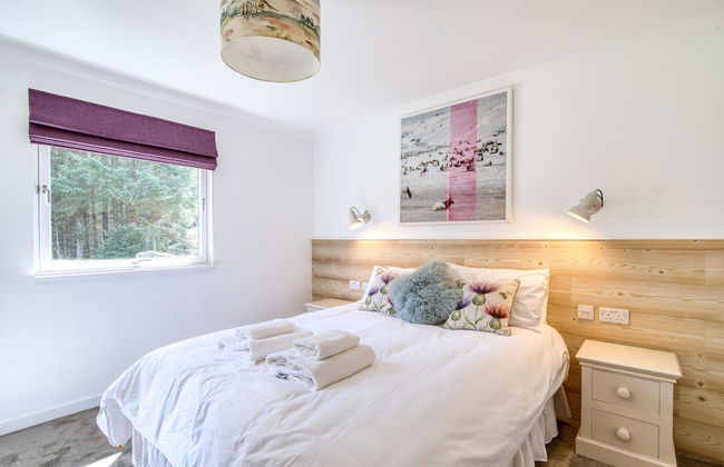 The Gamekeeper - Foto 2