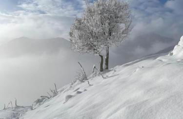 Passione Peonie Apartment - Foto 29