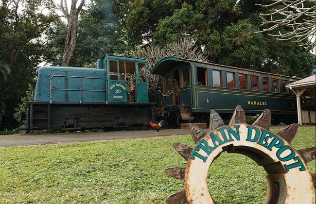 Spettacolo Luau Kalamaku - Foto 7