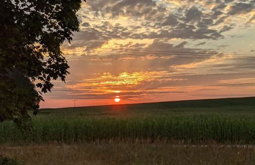 Neuenkirchen Moritzhagen - Photo 42
