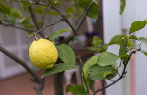 B&B Cava Rossa - Foto 21