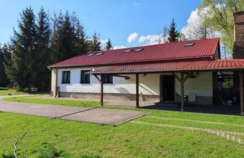 Newland Wójtowicz - Foto 3