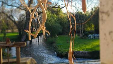 Gîte les pieds dans l'eau - Photo 2