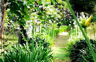 Quinta de S. Vicente 317 - Foto 51