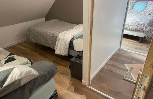 Maison Le grand sapin , 5min du zoo parc de Beauval - Foto 36