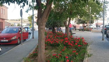 Apartamento San Miguel - Foto 3