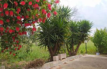 Cascina Vittorio, Relax in campagna con barbecue vicino Gallipoli - Foto 45