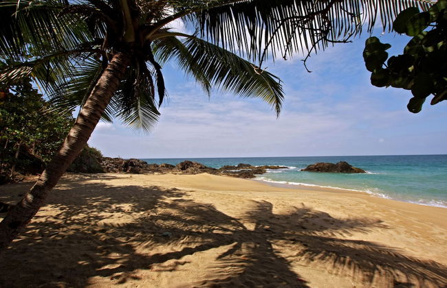 The Villas At Stonehaven - Foto 37