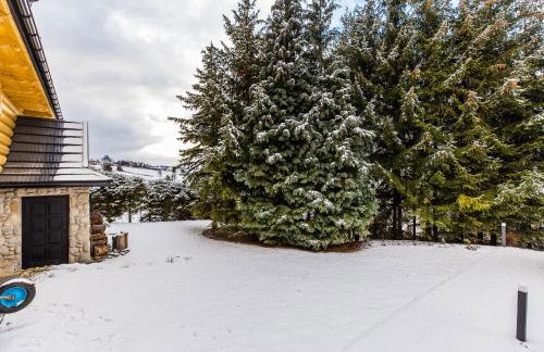 Willa Gocówka & SPA - Foto 3