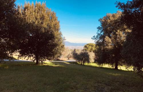 La Residenza dei Piaceri Perduti- Le Volte - Foto 55