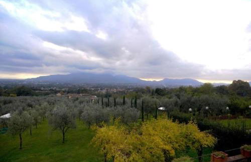 Capannori Playful Cottage - Foto 49