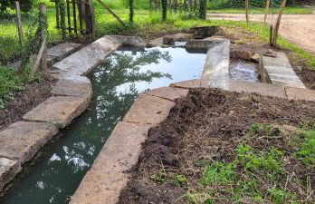 La Saugeraie - Foto 25