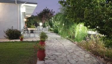 Anestis Studios - Foto 5