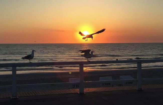 Holiday Home in Renesse - Foto 17