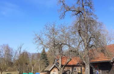 Liljas Haus im Spreewald - Foto 40