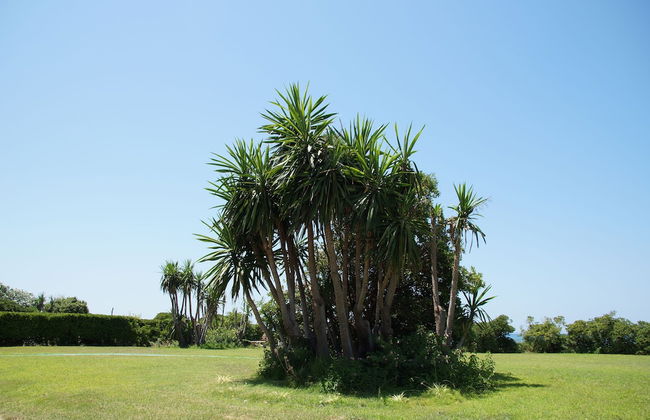 Akti Anastasia - Foto 30