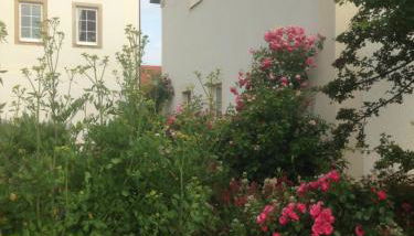 Ferienwohnung Zweinig 01 - Foto 1, Garden view