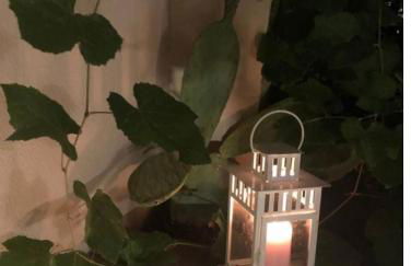 Testaccio historic house - Foto 57