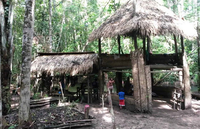 Tour por la ensenada del Amorim - Foto 5