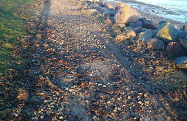 Strandappartement Steinberghaff "zur Birk" mit Meerblick - Foto 17