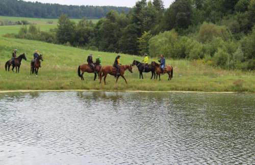 Ropuszy Dwór - Foto 41