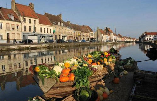 Studio INDIGO Plein Centre - Foto 10