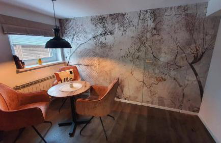 APARTAMENT POD ŚLIWKAMI - Foto 39