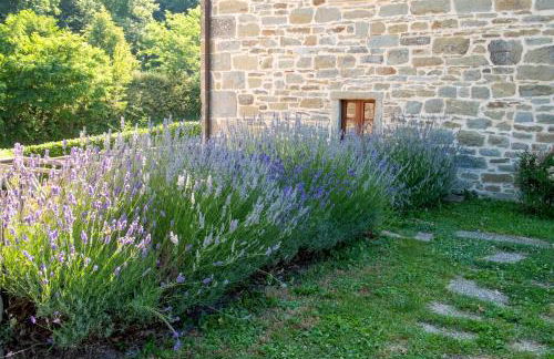 Agriturismo Terrazza sul Parco - Foto 49