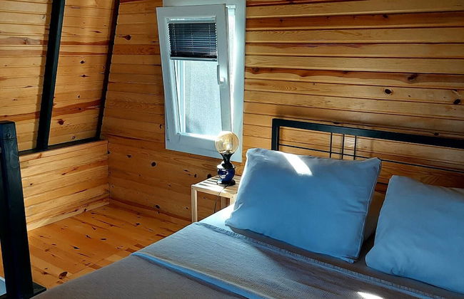 Sole Foca ( Ages 12+ ) - Foto 7