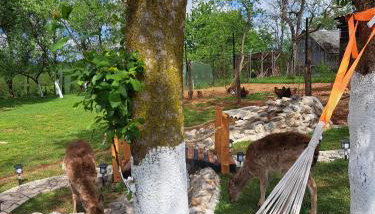 Apartment Dado - Photo 2