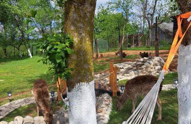 Apartment Dado - Foto 2