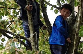 40 Glenfinart Caravan Park - Foto 28