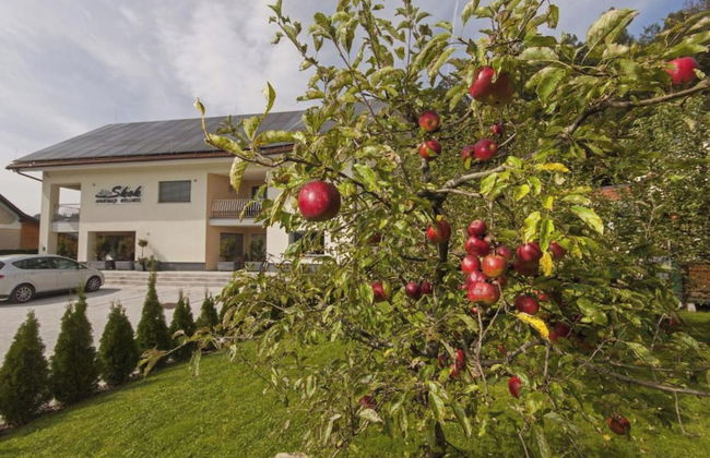 Wellness Suite Viola - Foto 15