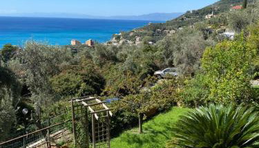 casa lella home - Foto 5