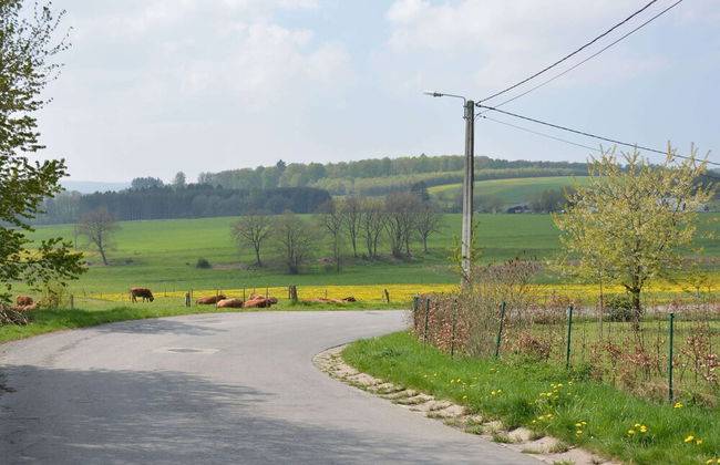 Champlon Villa Near Forest - Photo 39