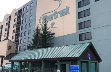 Modern Condo with Ski In & Ski Out - Silver Creek Lodge, Snowshoe - Foto 49