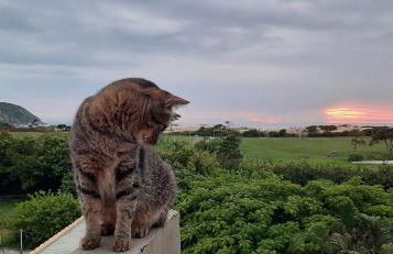 Vista deslumbrante do Santinho! - Foto 8