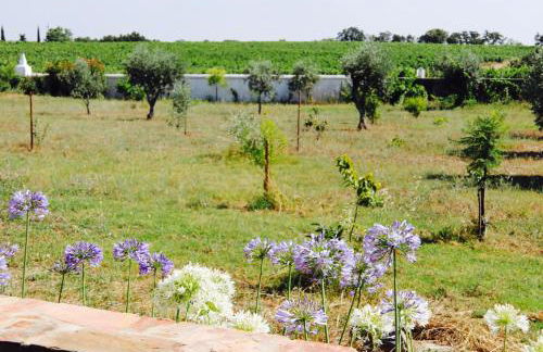 Casa da Pedra-Quinta do Briando - Foto 16