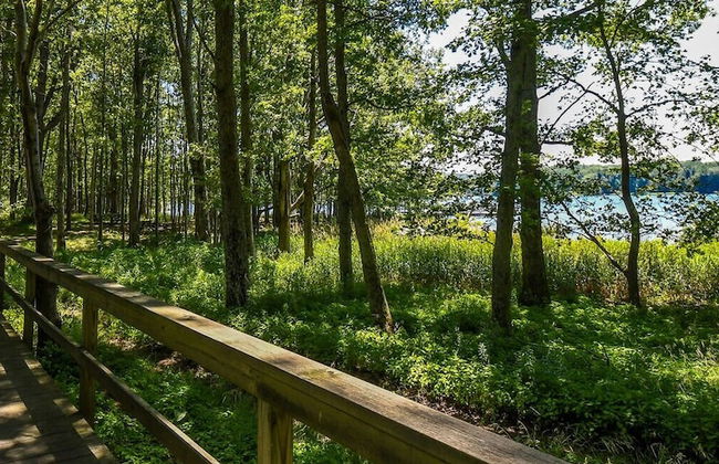 Stilwater Serenity by Taylor Made Deep Creek - Photo 48