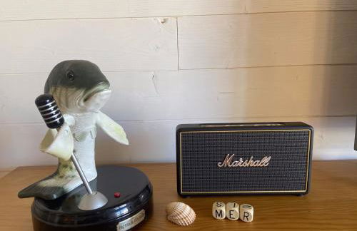 L'Aéroplage, Appartement Standing Rénové Vacances 40mètres plage - Foto 3