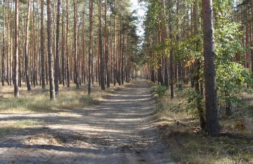 Ferienwohnung Zossen Gästehaus - Foto 27