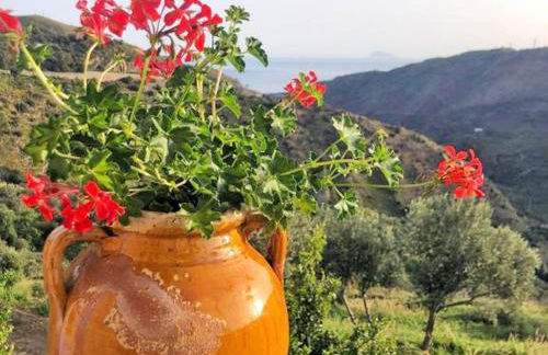 House in the Countryside with Aeolian View - Foto 61