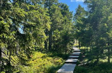 Harz Escape - Foto 29