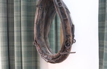 Falkaunest cozy Apartment mit Sauna am Feldberg - Foto 49