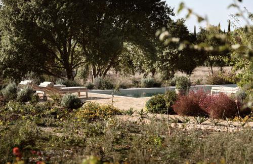 Alkis Farm and Residence - Foto 78