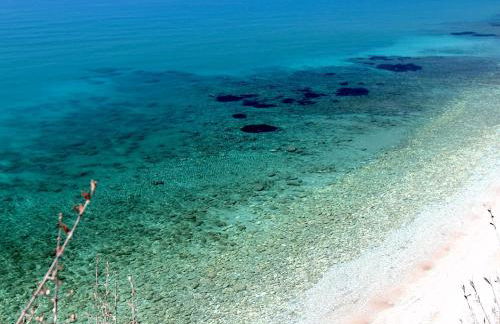 White Rock Apartments - Foto 47