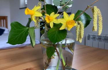 Little Barn - Foto 61